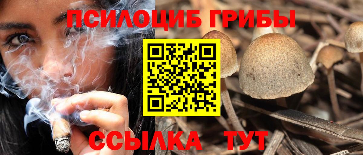 Зерноград  Галлюциногенные грибы мухоморы  Вход с VPN 